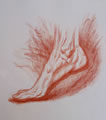 Michael Hensley Drawings, Human Feet 3